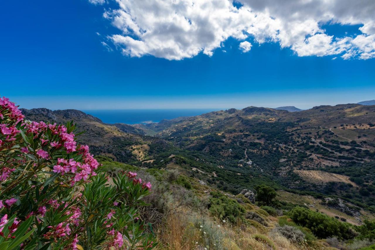 Best View Mountain Villa Temenia Exterior photo